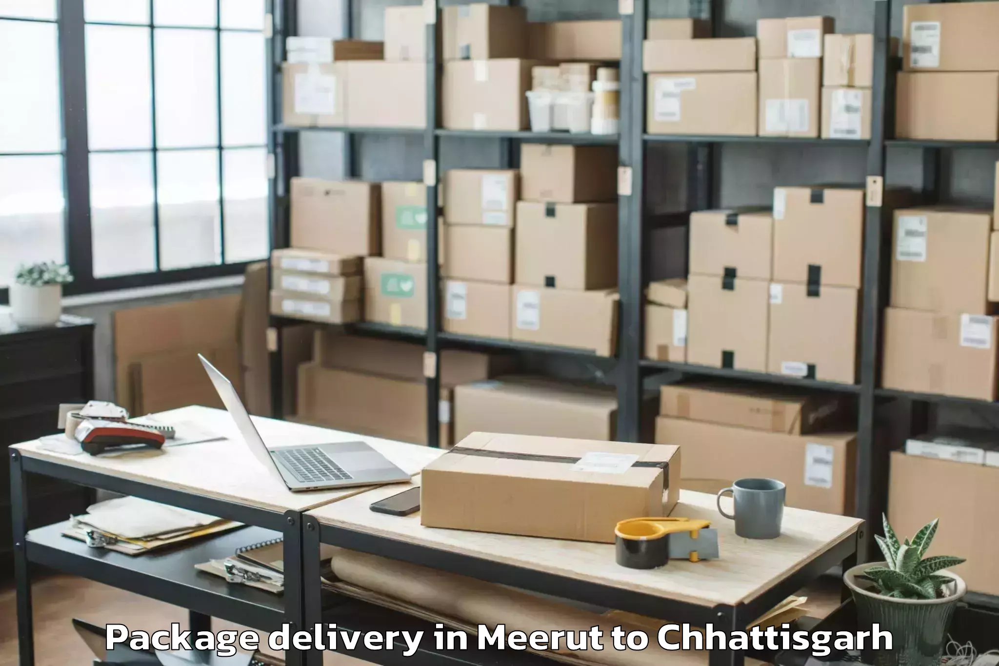 Quality Meerut to Manendragarh Package Delivery